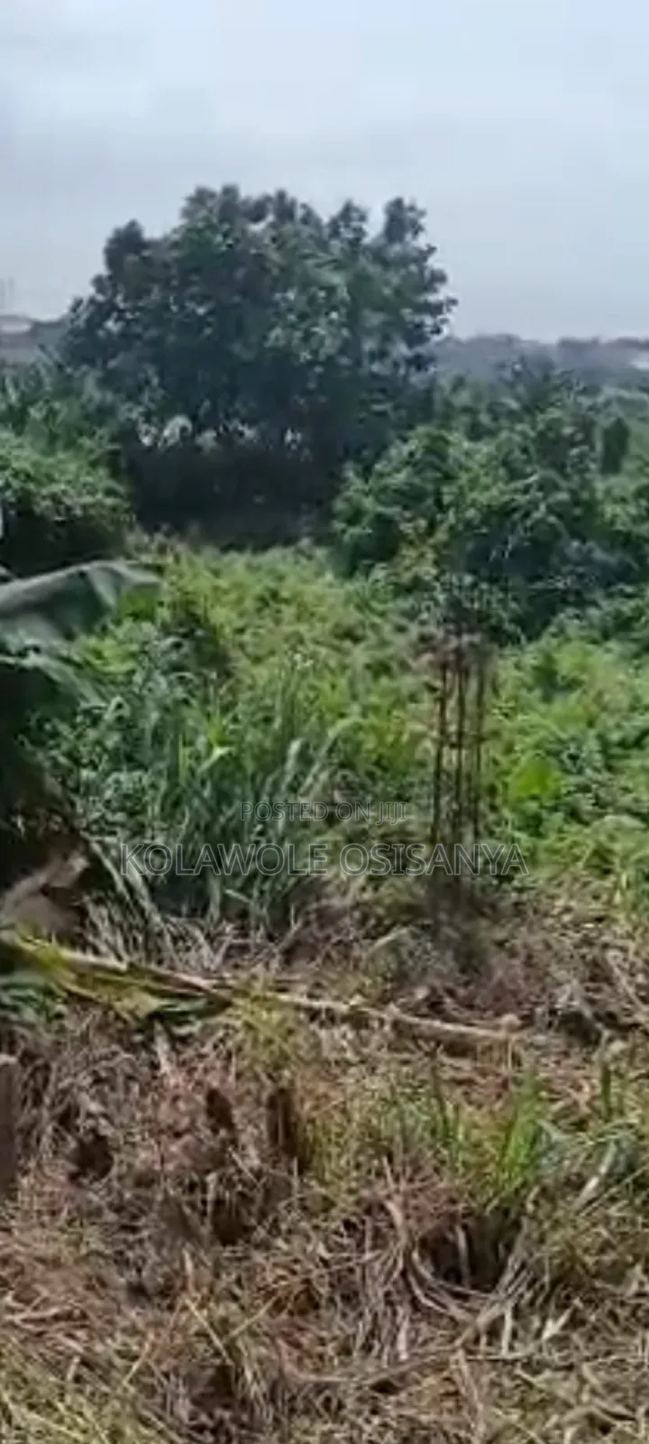 Commercial 8and Half Acres Along Lagos Badagry Express