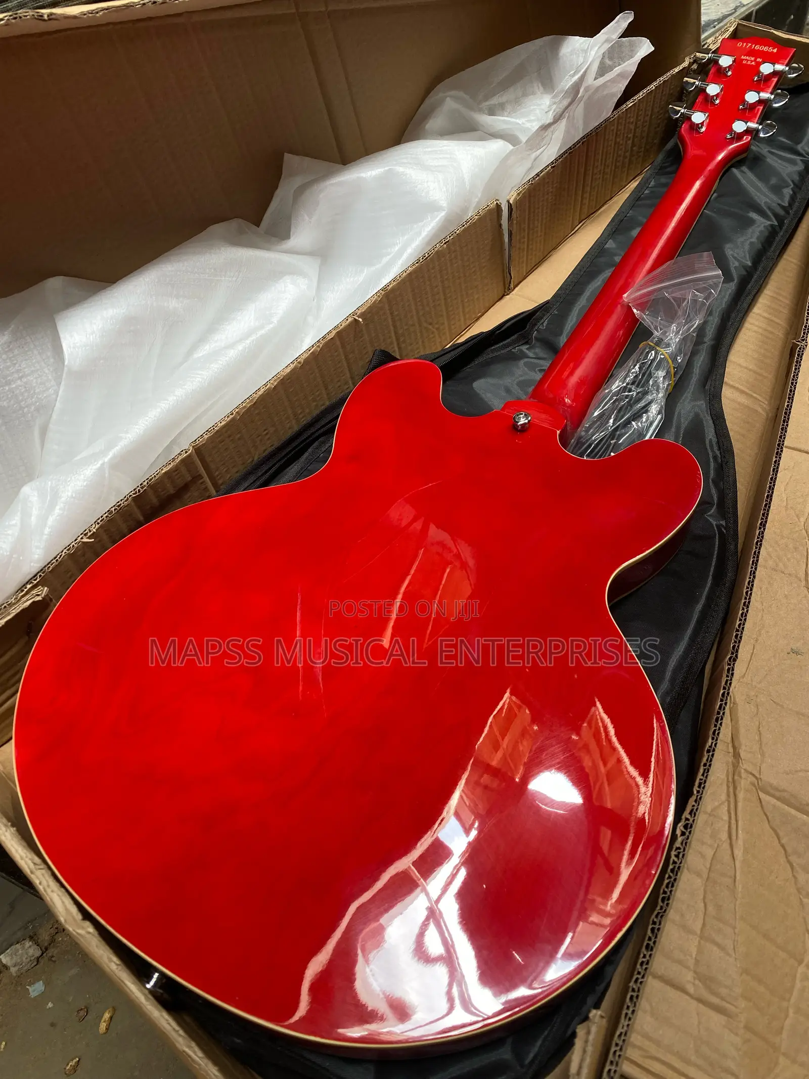 Fender Semi-Hollow Body Electric Guitar
