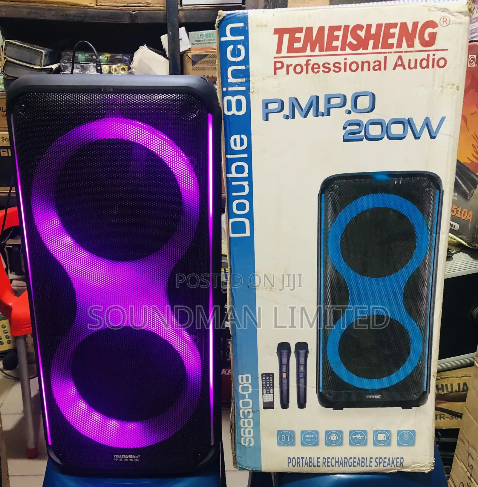 Temeisheng Portable Rechargeable Party High Bass Speaker With Two Mics