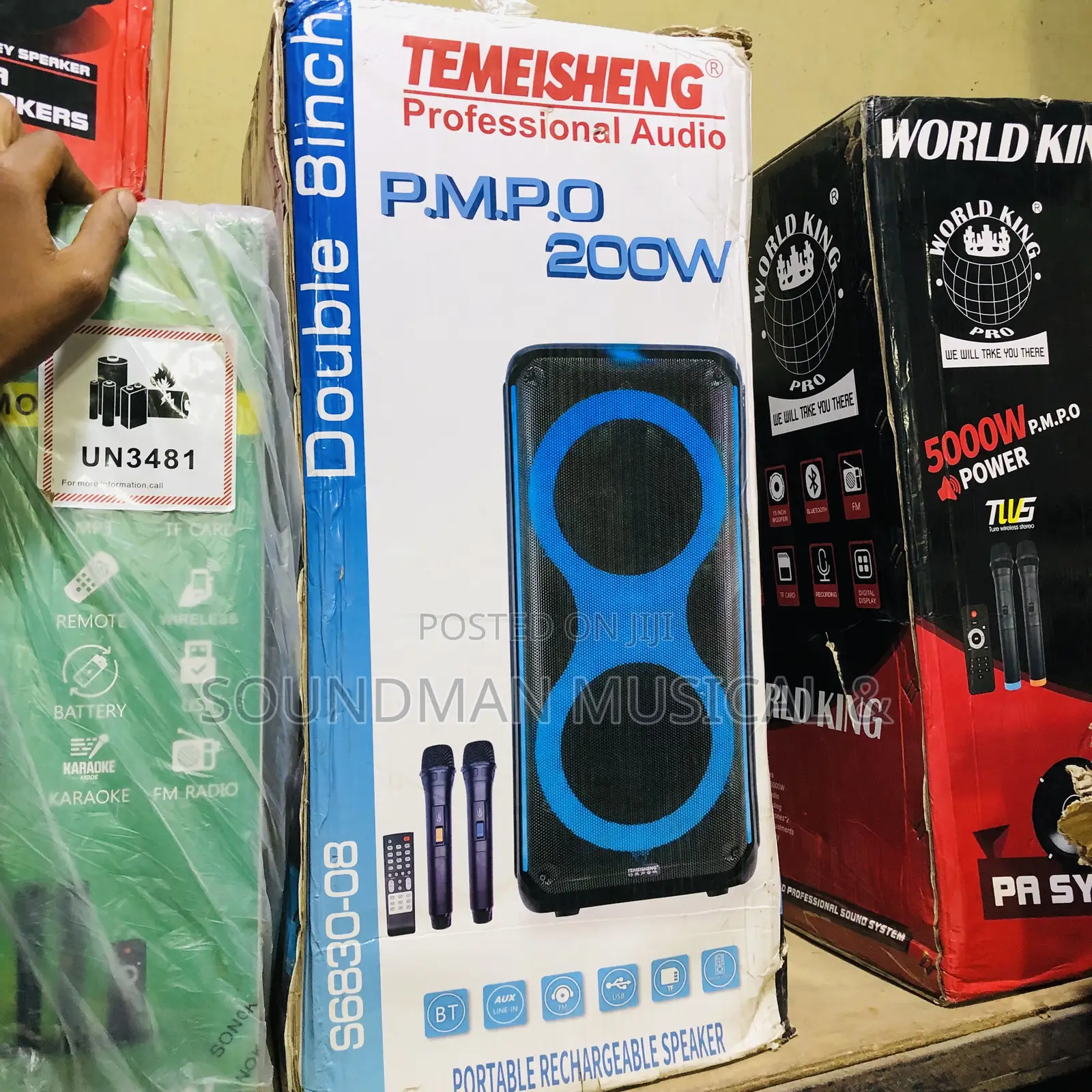 Temeisheng Portable Rechargeable Party High Bass Speaker With Two Mics