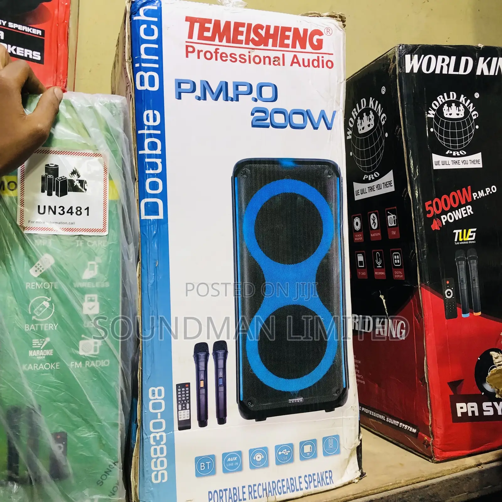 Temeisheng Portable Rechargeable Party High Bass Speaker With Two Mics