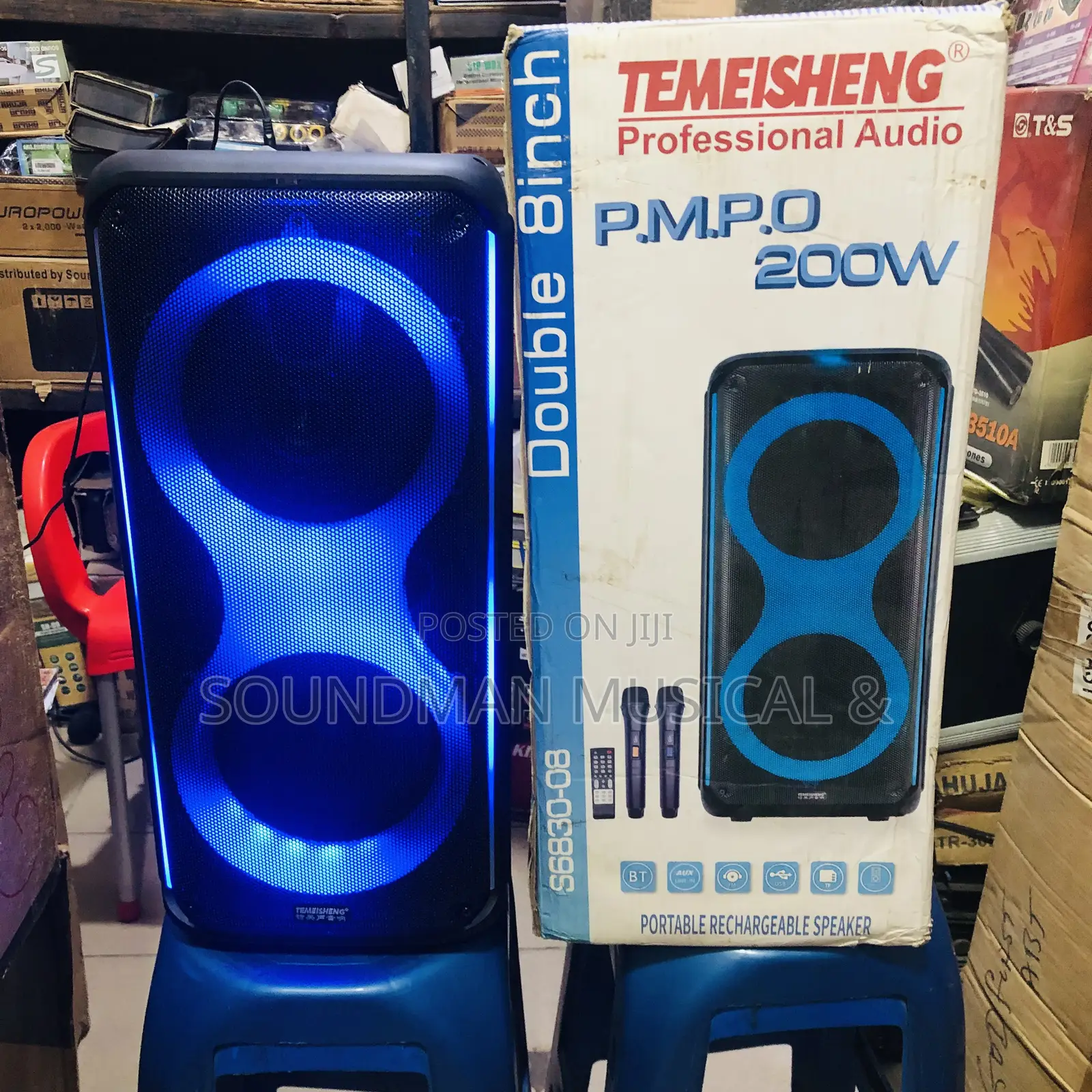 Temeisheng Portable Rechargeable Party High Bass Speaker With Two Mics