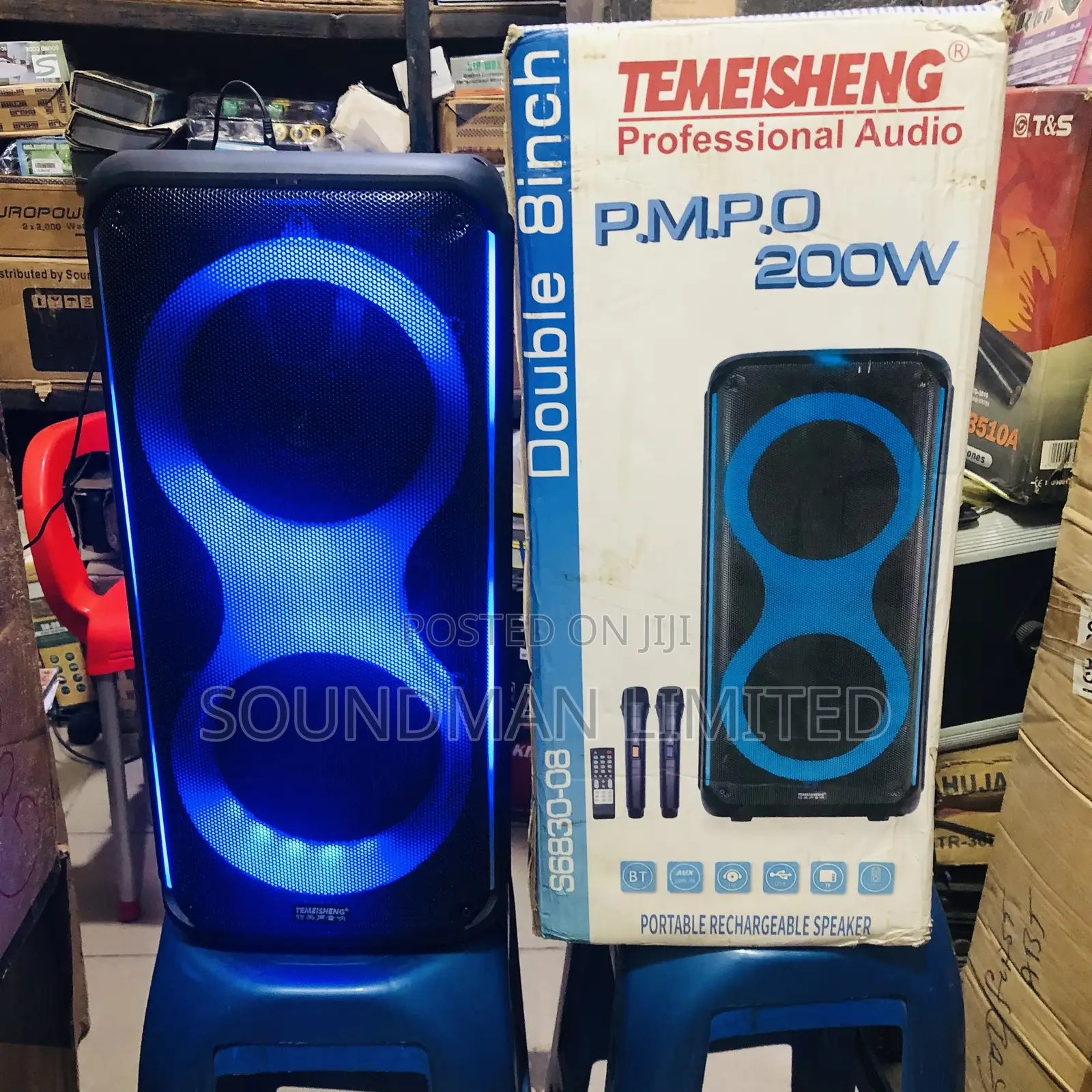Temeisheng Portable Rechargeable Party High Bass Speaker With Two Mics