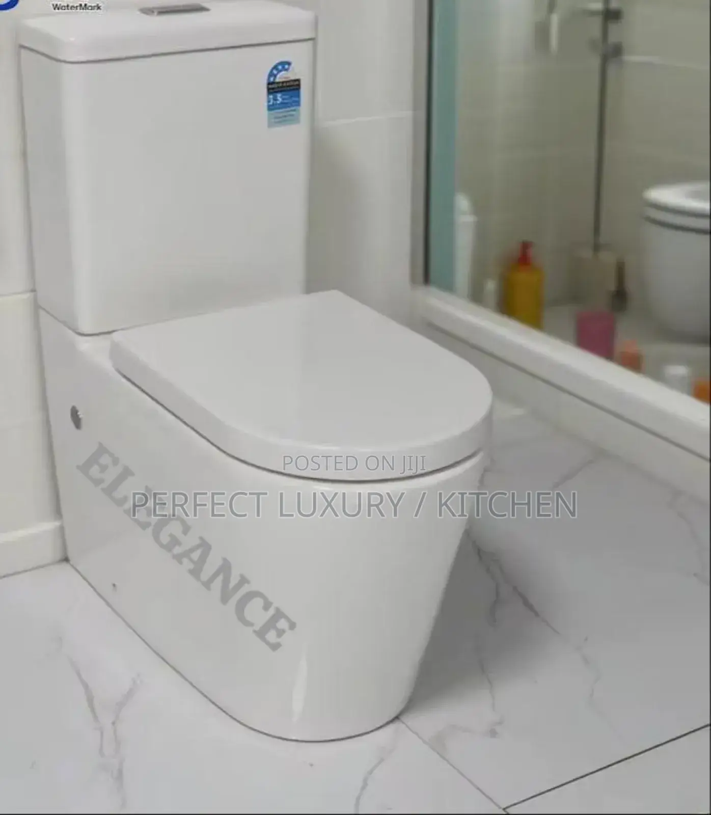 Top Quality Executive Toilet Seat With Basin and Pedestal