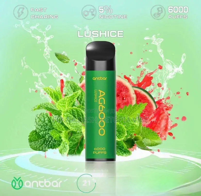6000 Puffs Rechargeable Disposable Vape Antbar Device