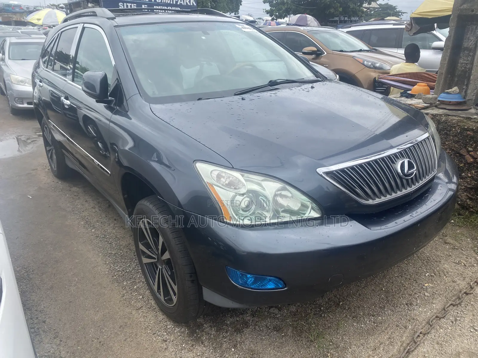 Lexus RX 330 2004 Gray