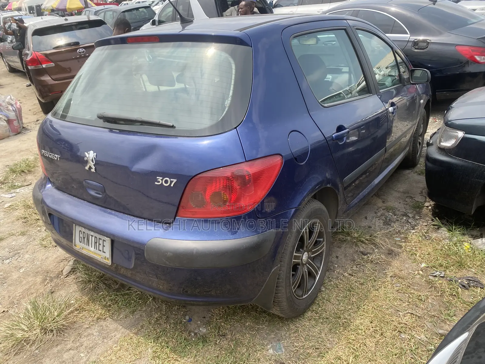 Peugeot 307 2005 Blue