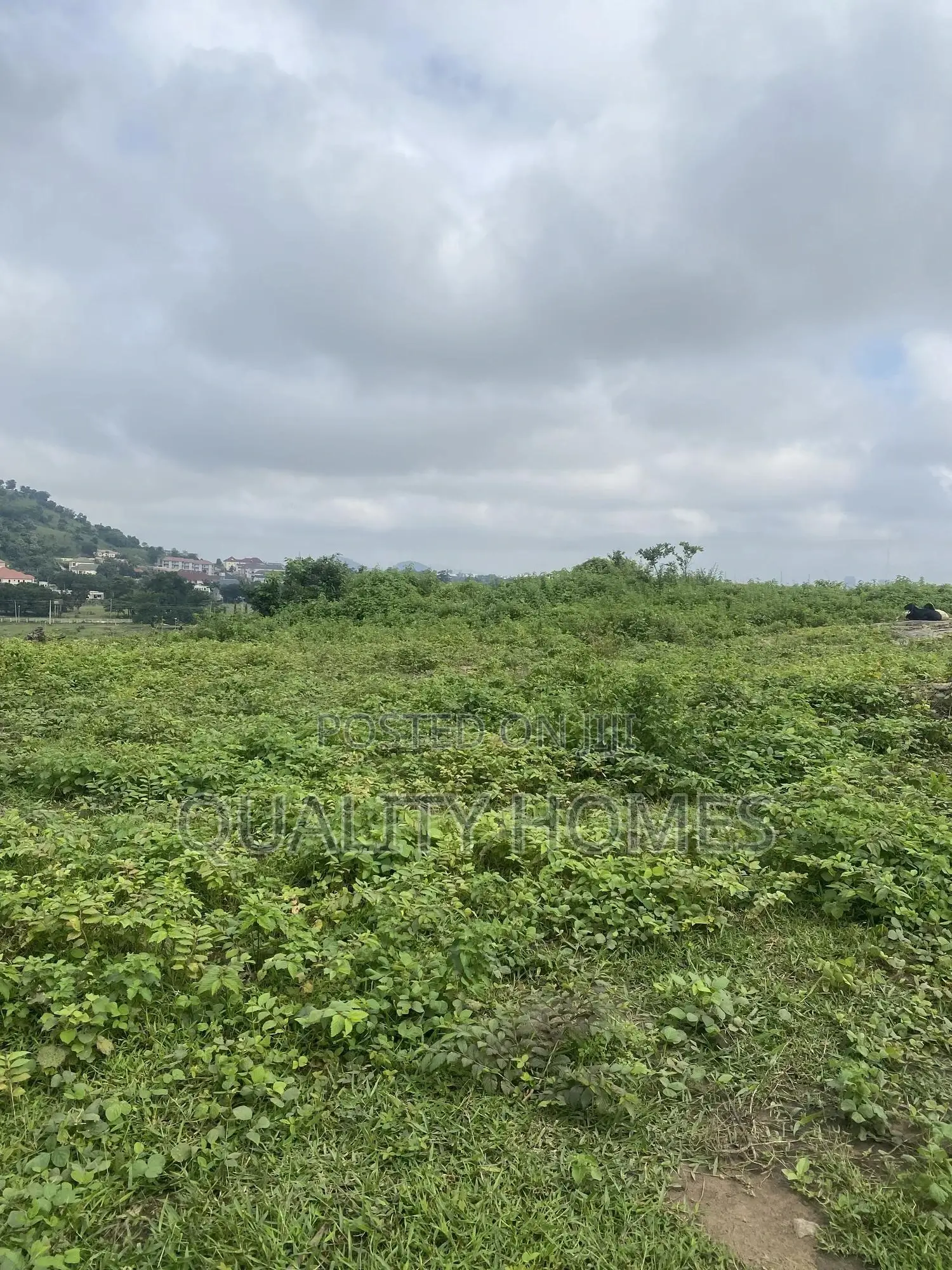 Certificate of Occupancy