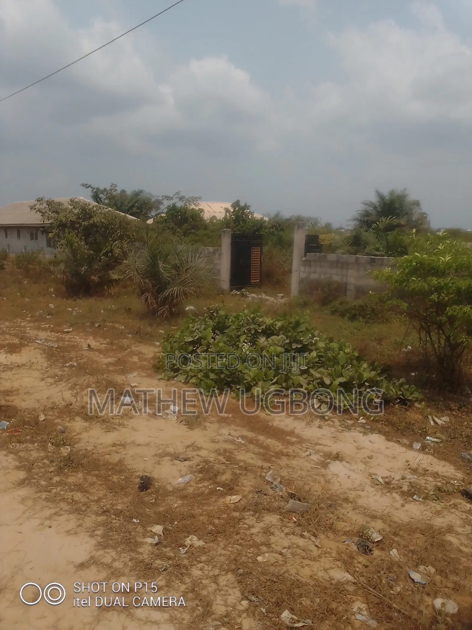 Investment Profit Land Assets