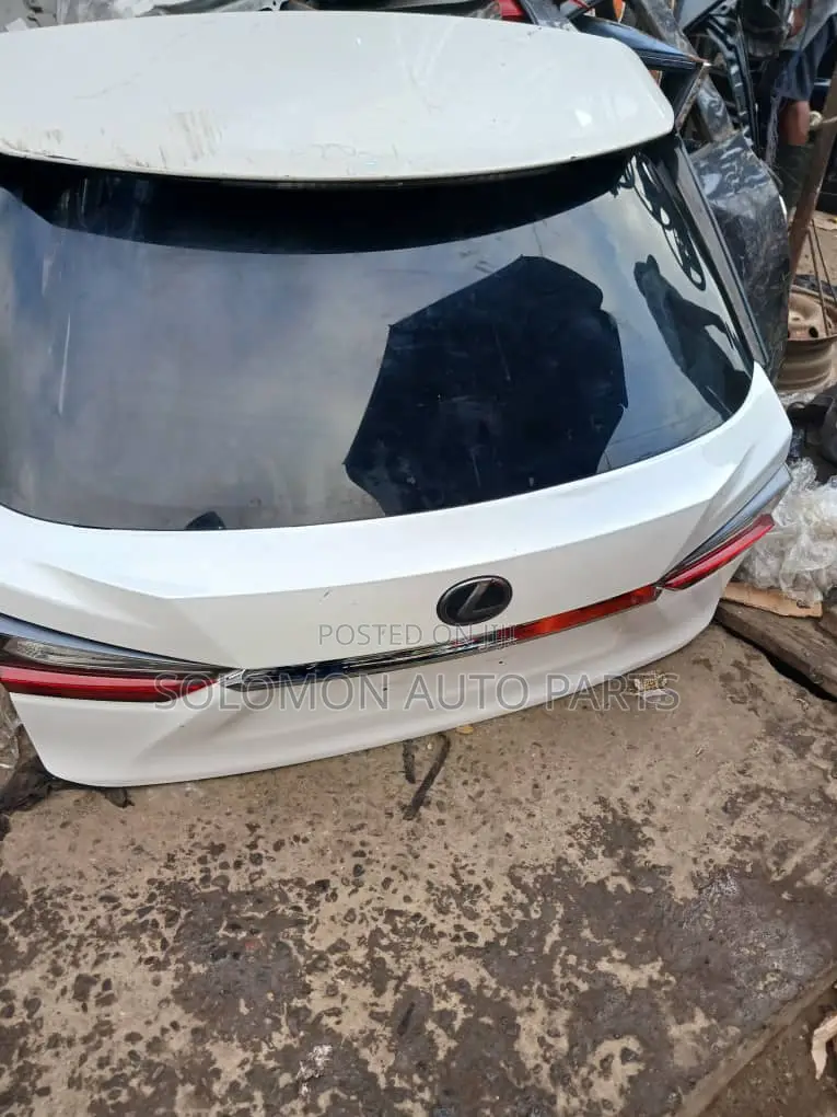 Rx350 2016-2020 Complete Boot