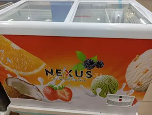 370l Nexus Double Door Ice Cream Chiller