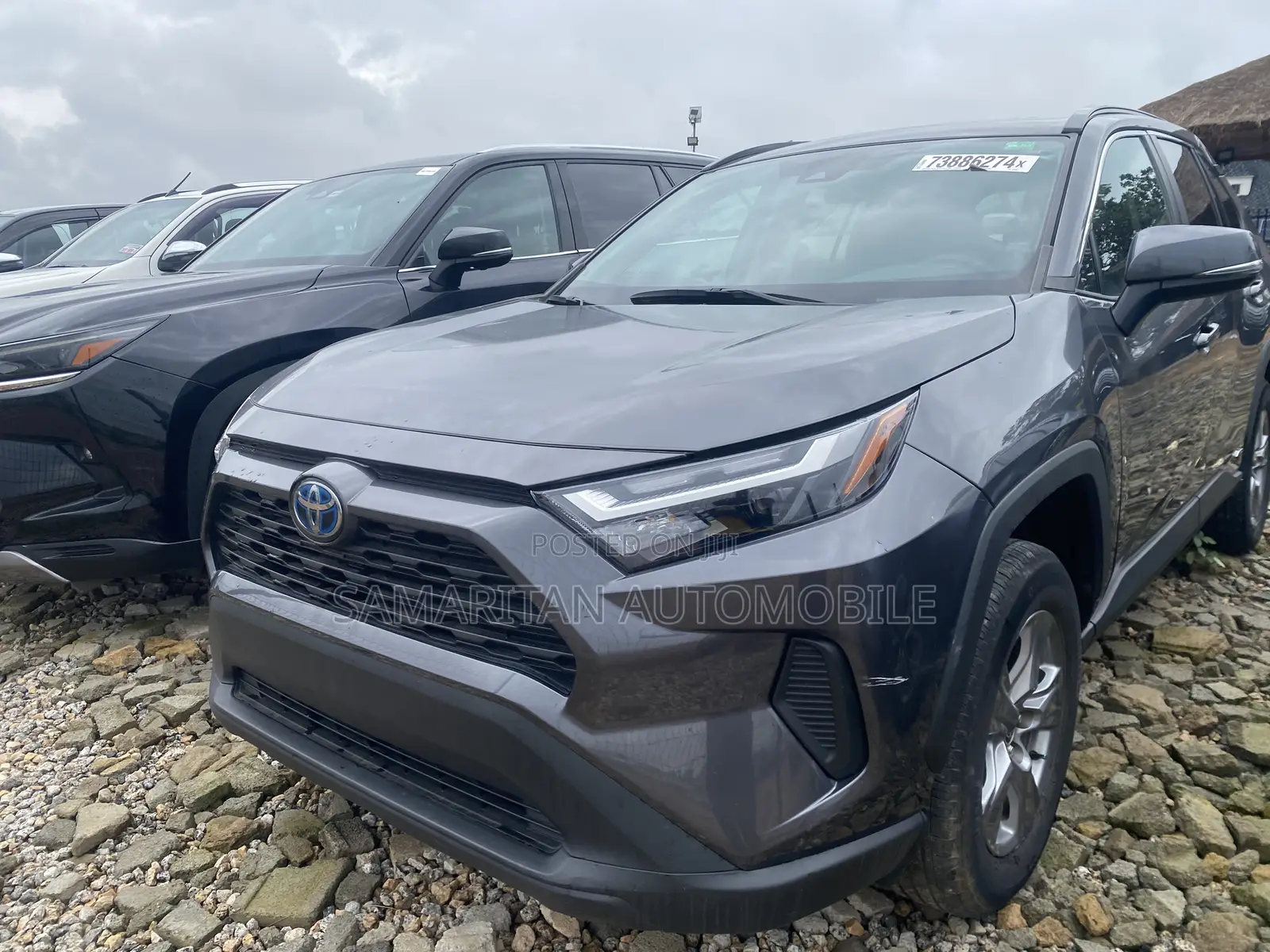 Toyota RAV4 XLE 2022 Gray