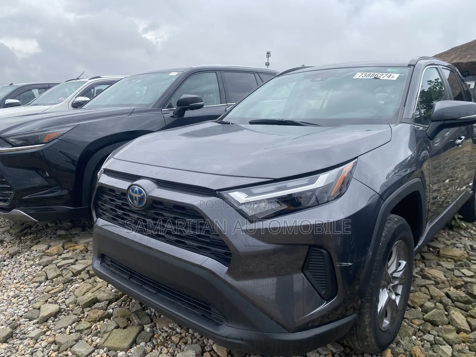 Toyota RAV4 XLE 2022 Gray