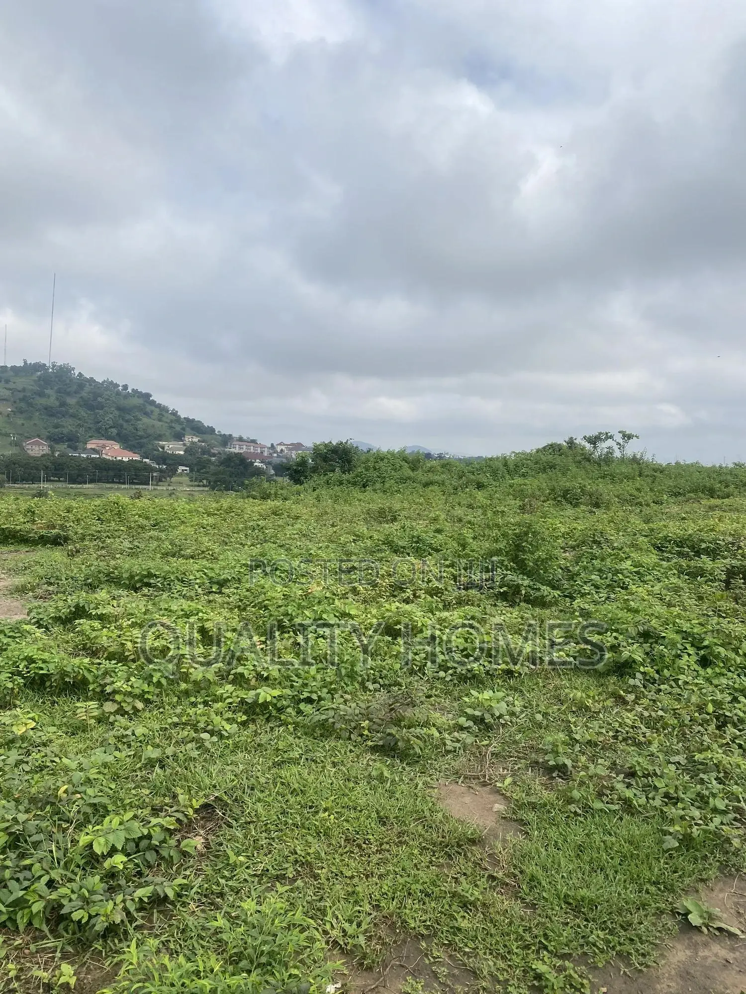 Certificate of Occupancy
