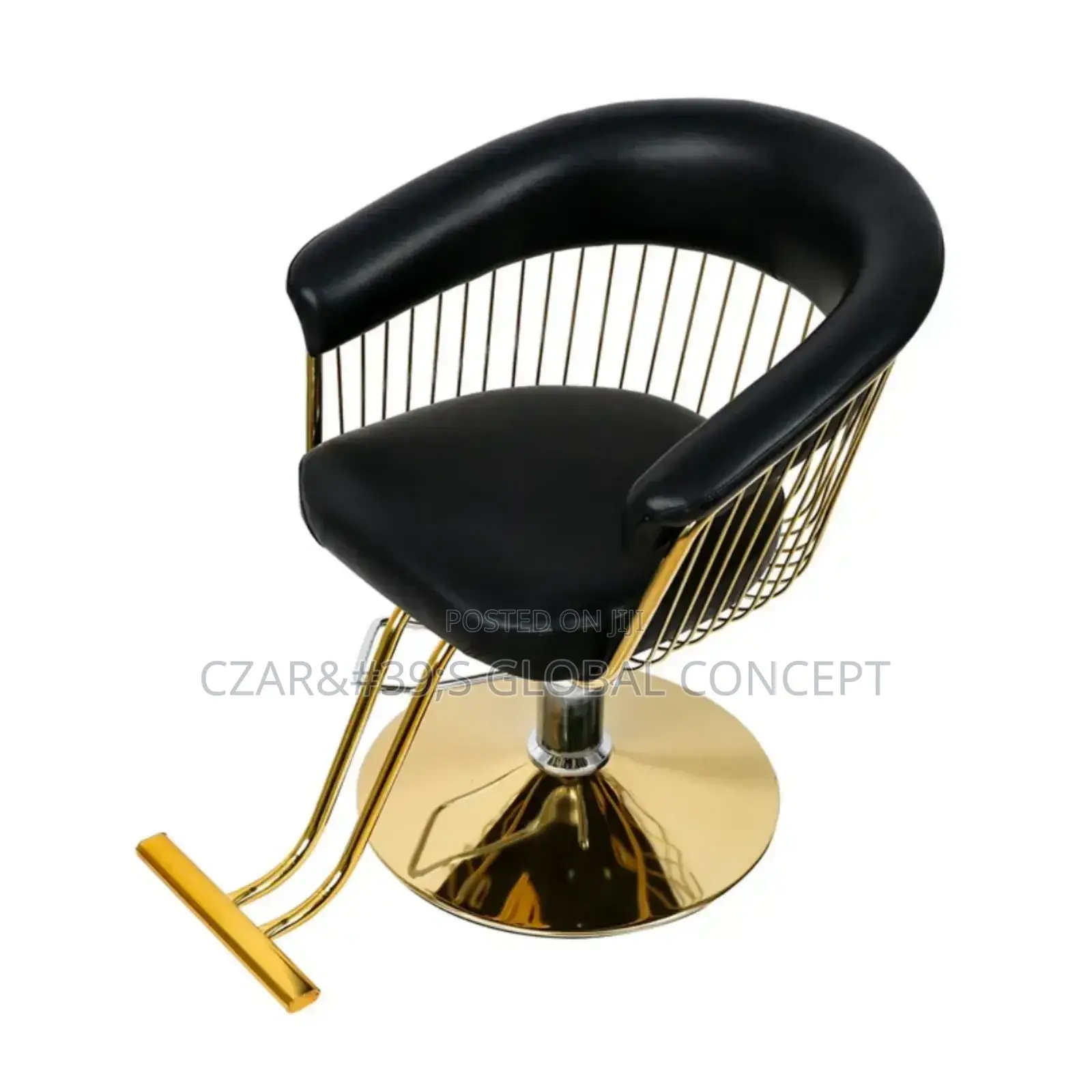 Salon Chairs