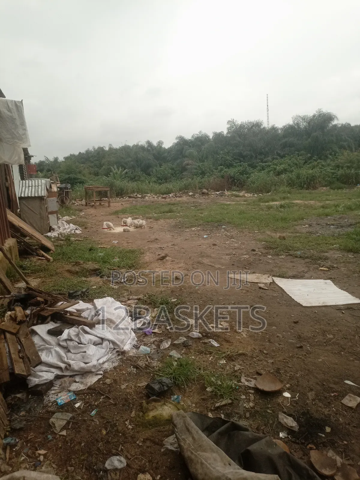 Acres of Land at Owode, Obafemi, Ogun State