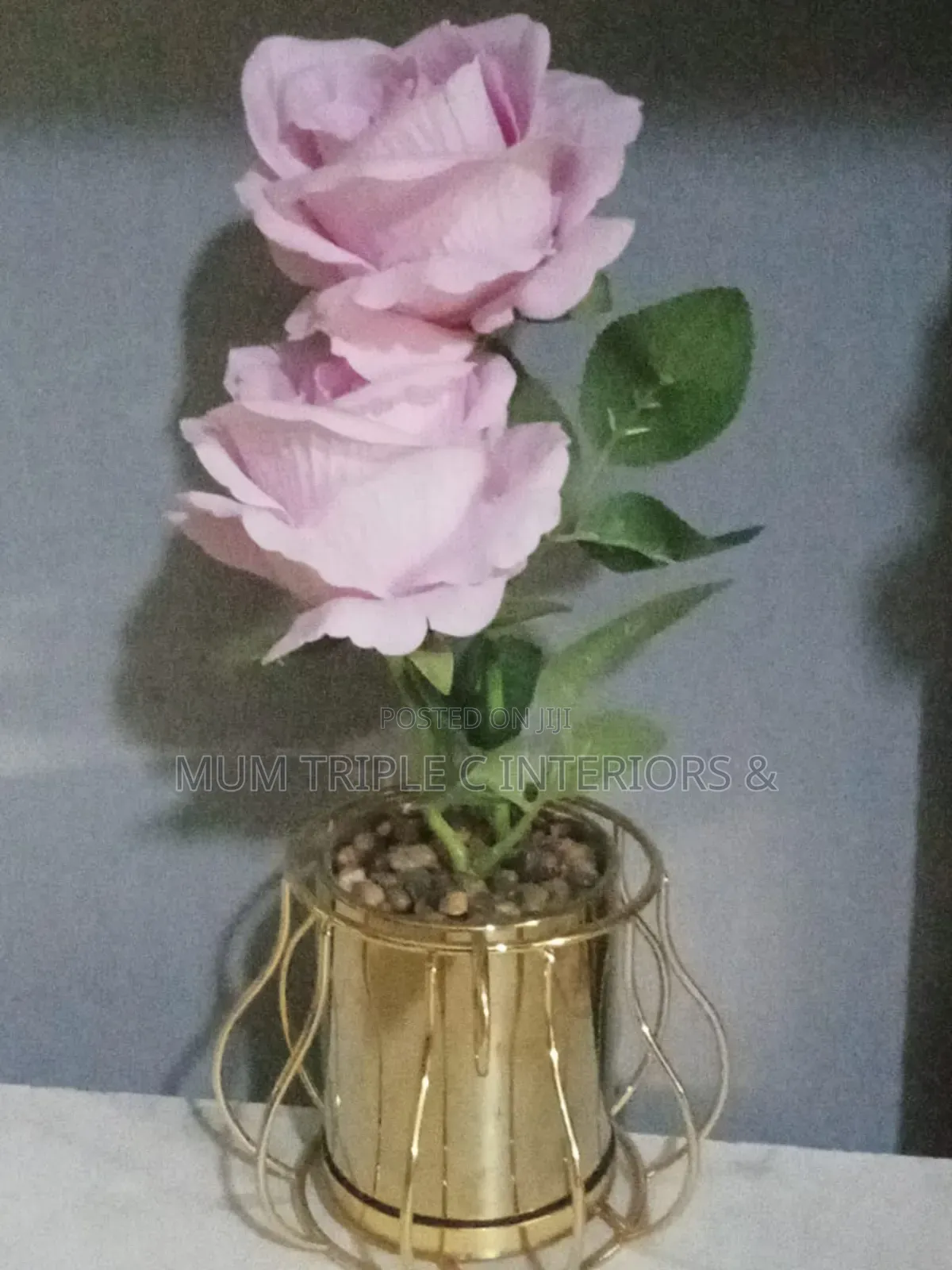 Cup Beautiful Flowers