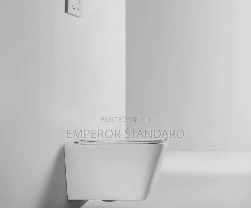 Wall Hung Wc White Conceal Wc (Payment on Delivery)