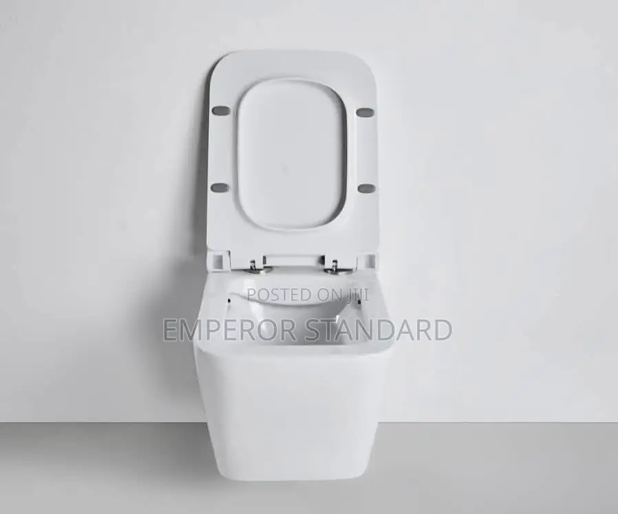 Wall Hung Wc White Conceal Wc (Payment on Delivery)