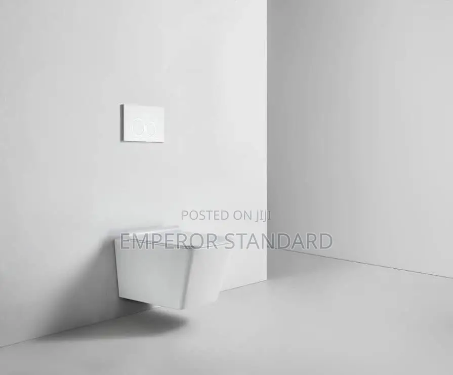 Wall Hung Wc White Conceal Wc (Payment on Delivery)