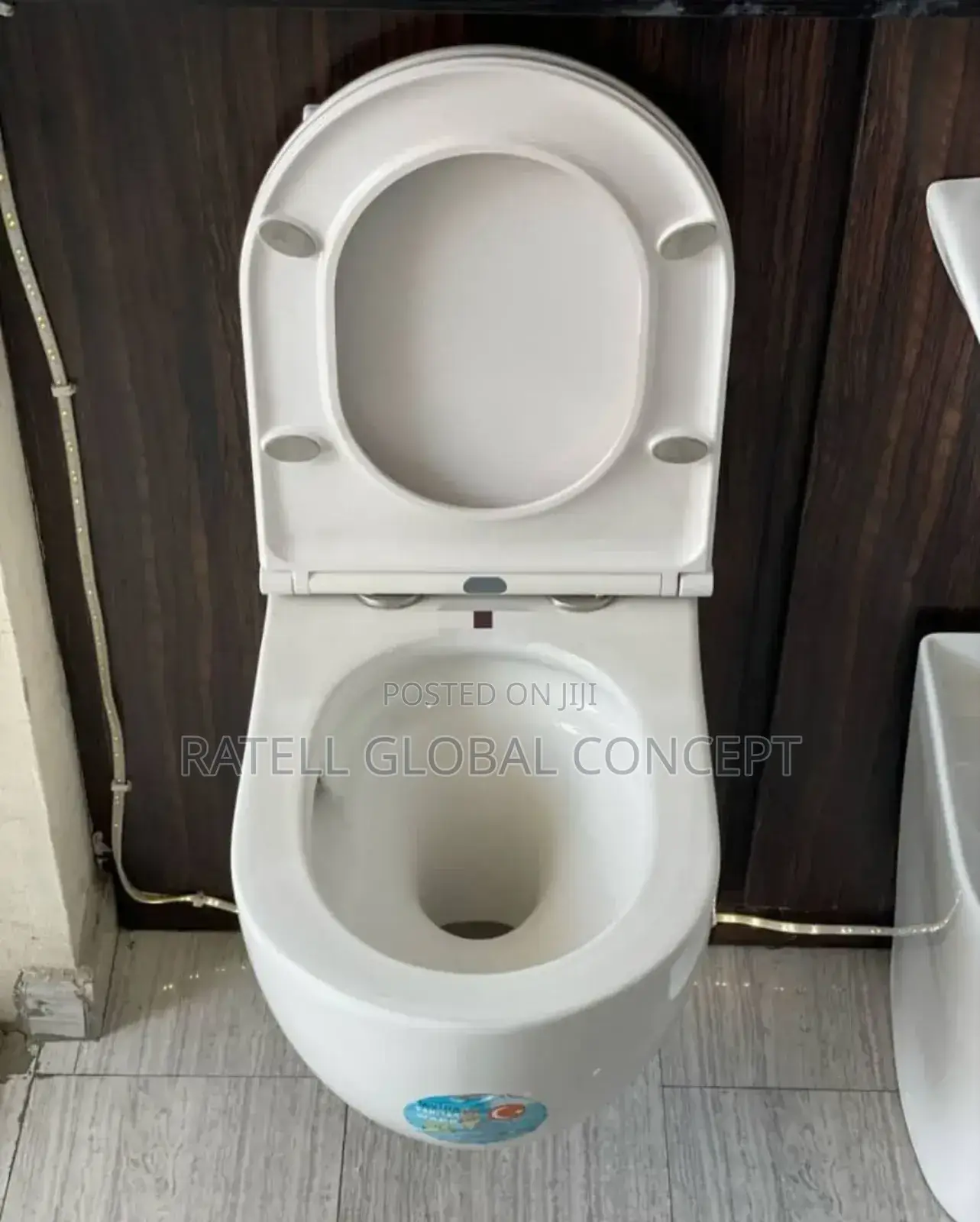 White Concealed Cistern Toilet