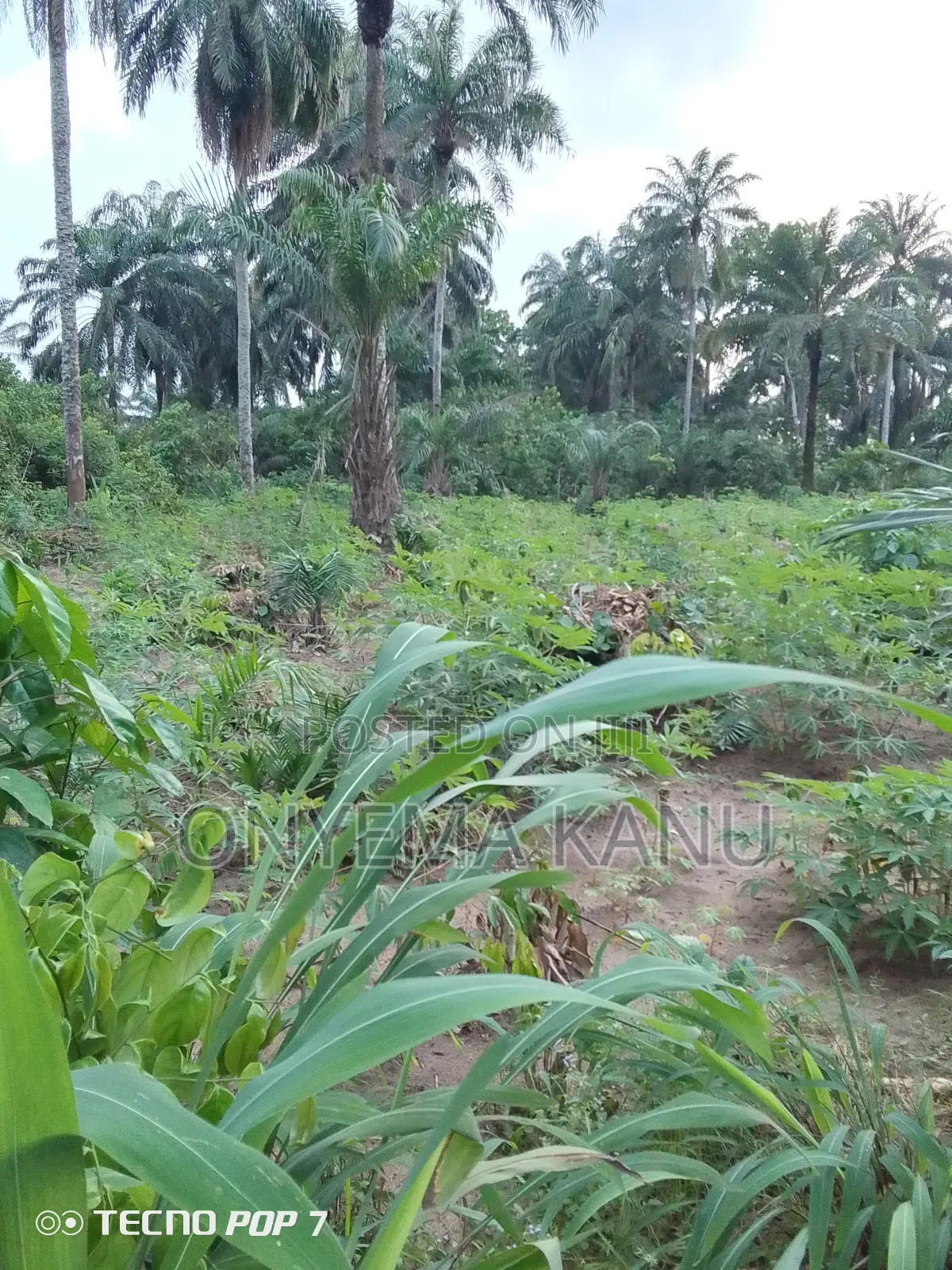 5 Plots at New Layout