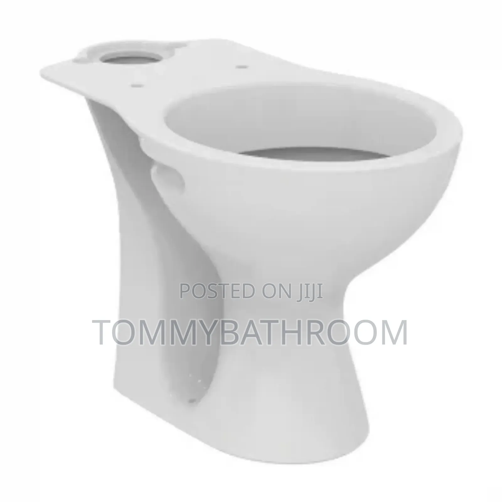 Armitage Shanks Sandringham 21 Close Coupled Toilet