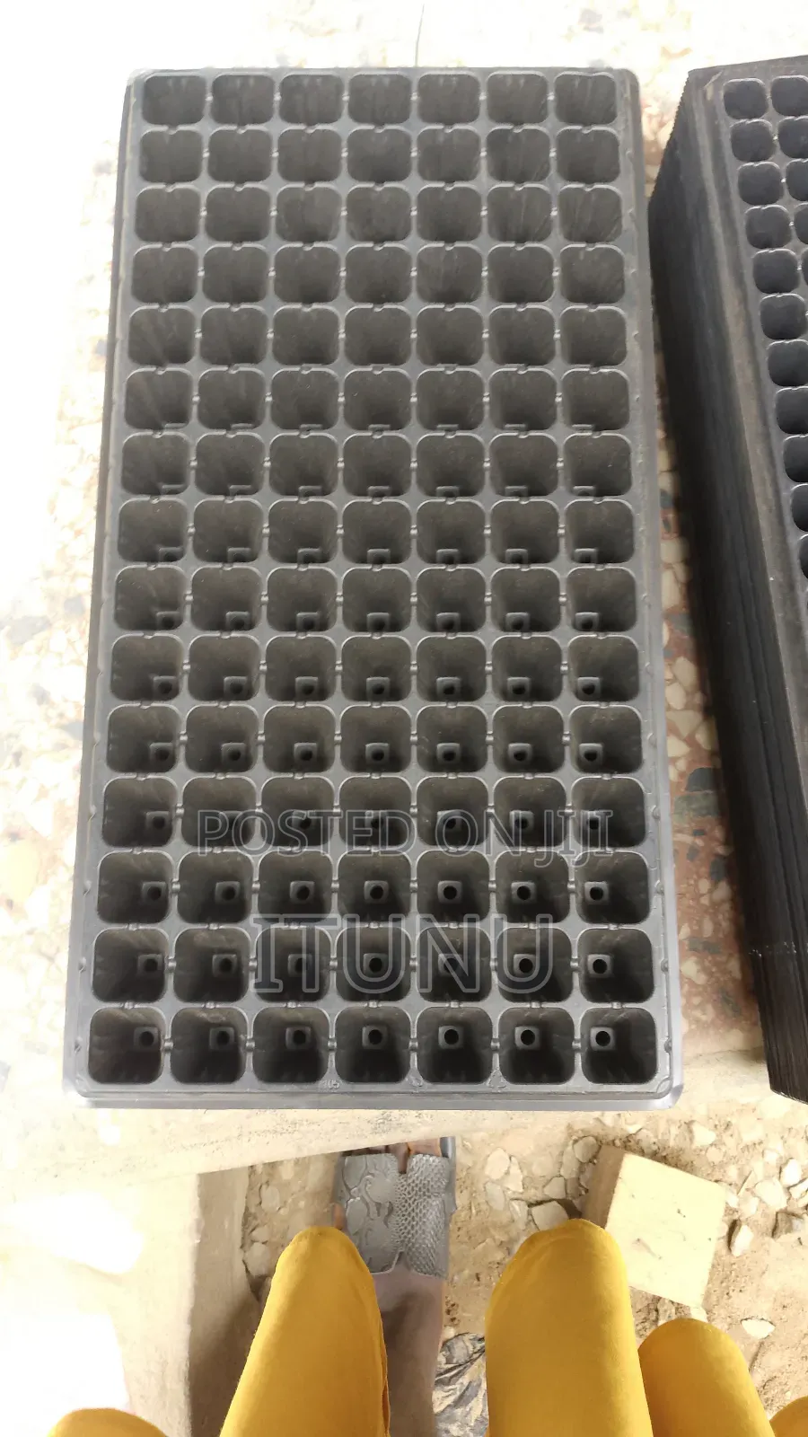 Seedlings Tray for Pre Planting 105,128,72 and 200 Cells
