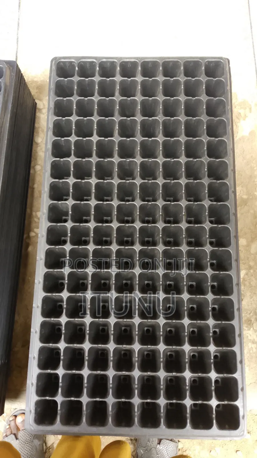 Seedlings Tray for Pre Planting 105,128,72 and 200 Cells
