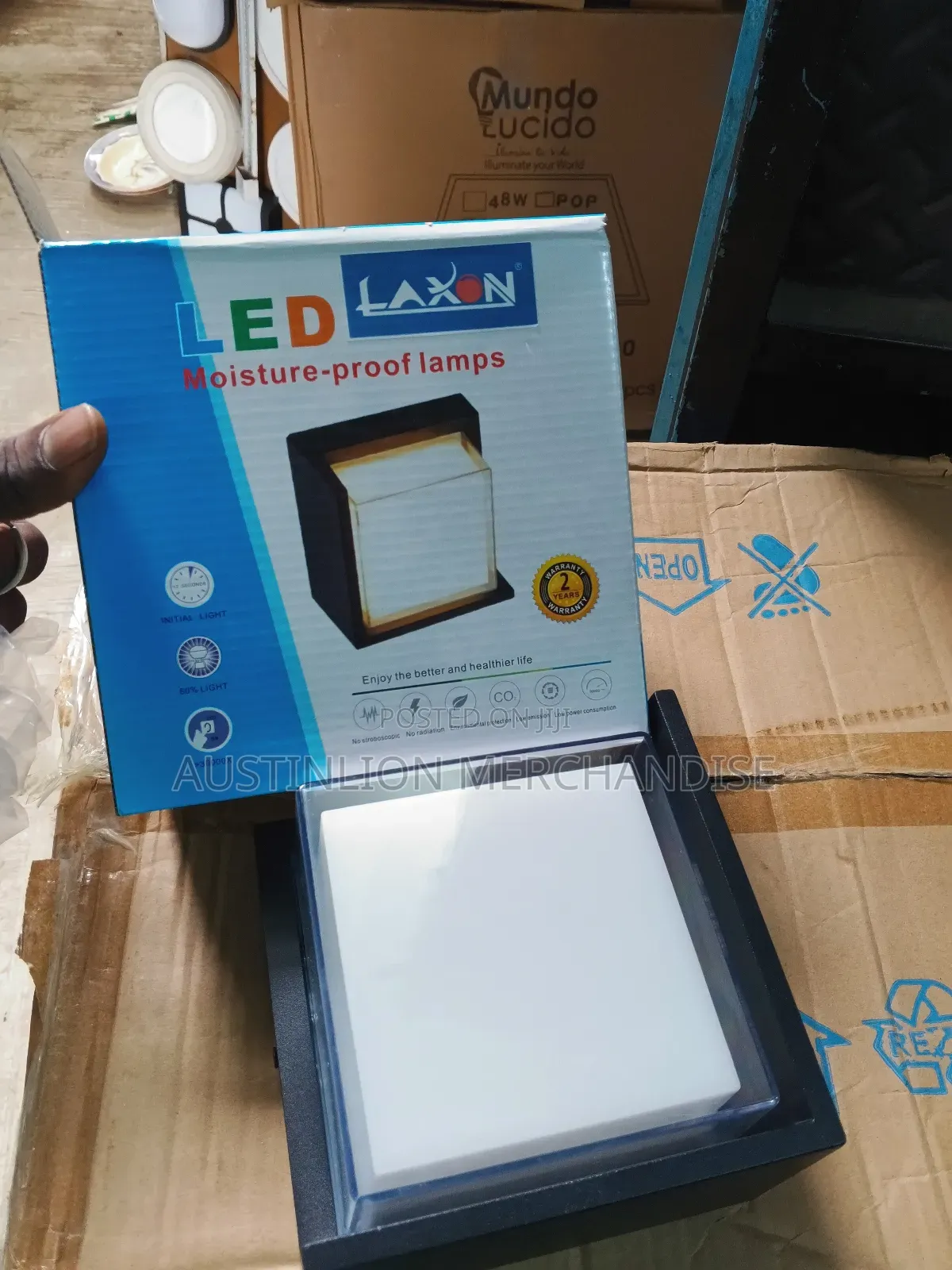 Outdoor Wall Lamp