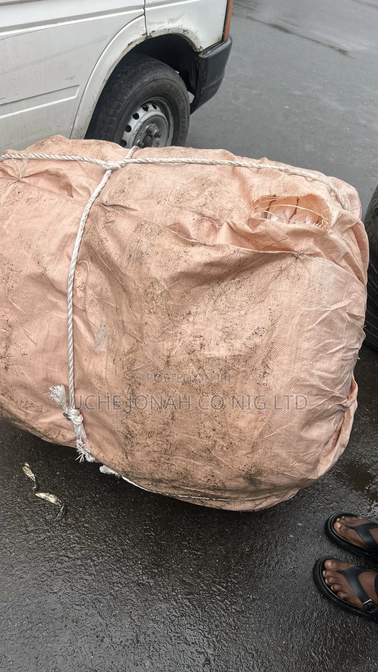Polypropylene Mooring Ropes 2inches 8strands 220mtrs