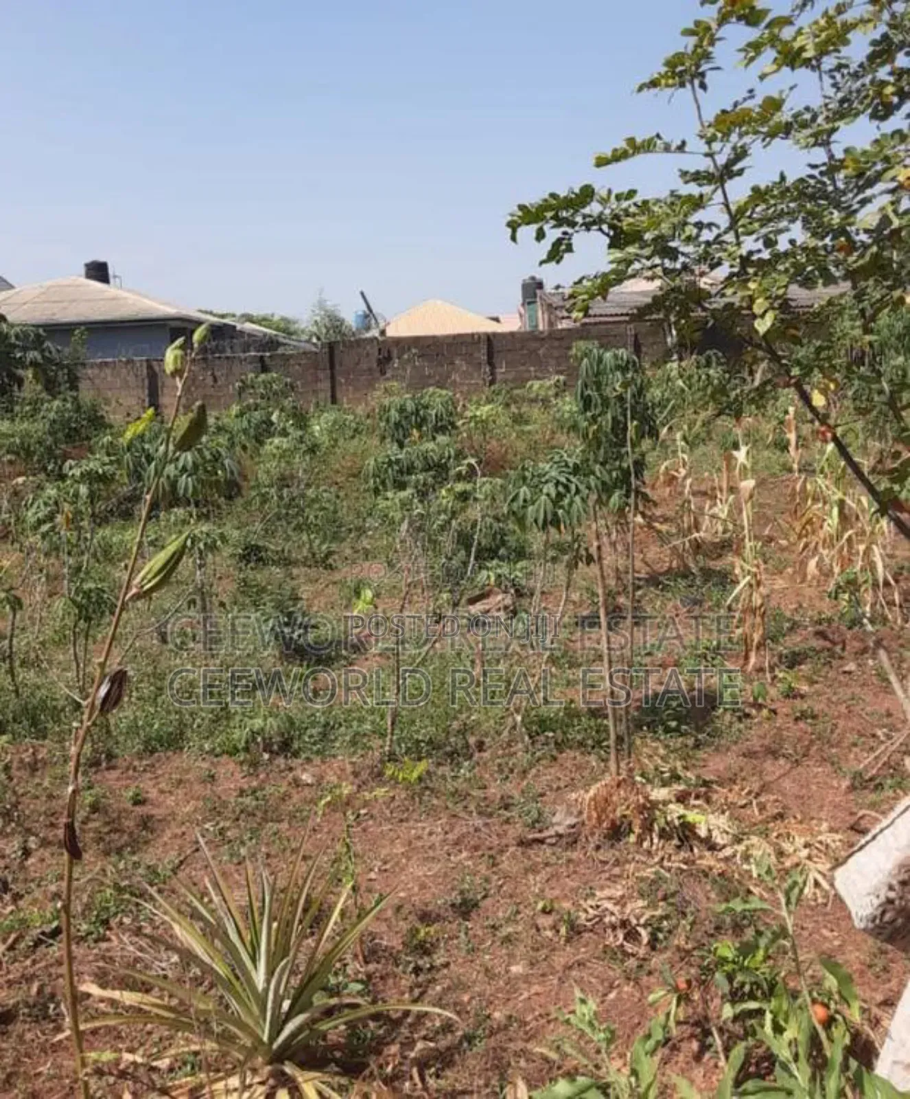 A Standard Plot of Land Available at Akilapa Estate