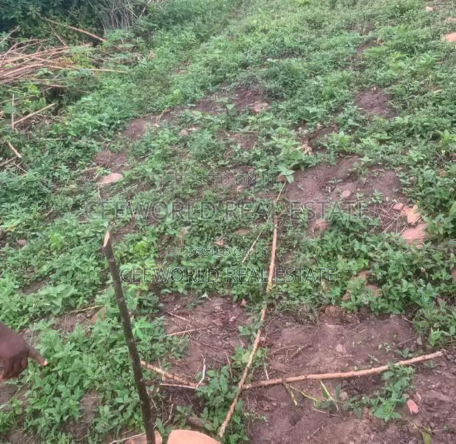 A Standard Plot of Land Available at Akilapa Estate