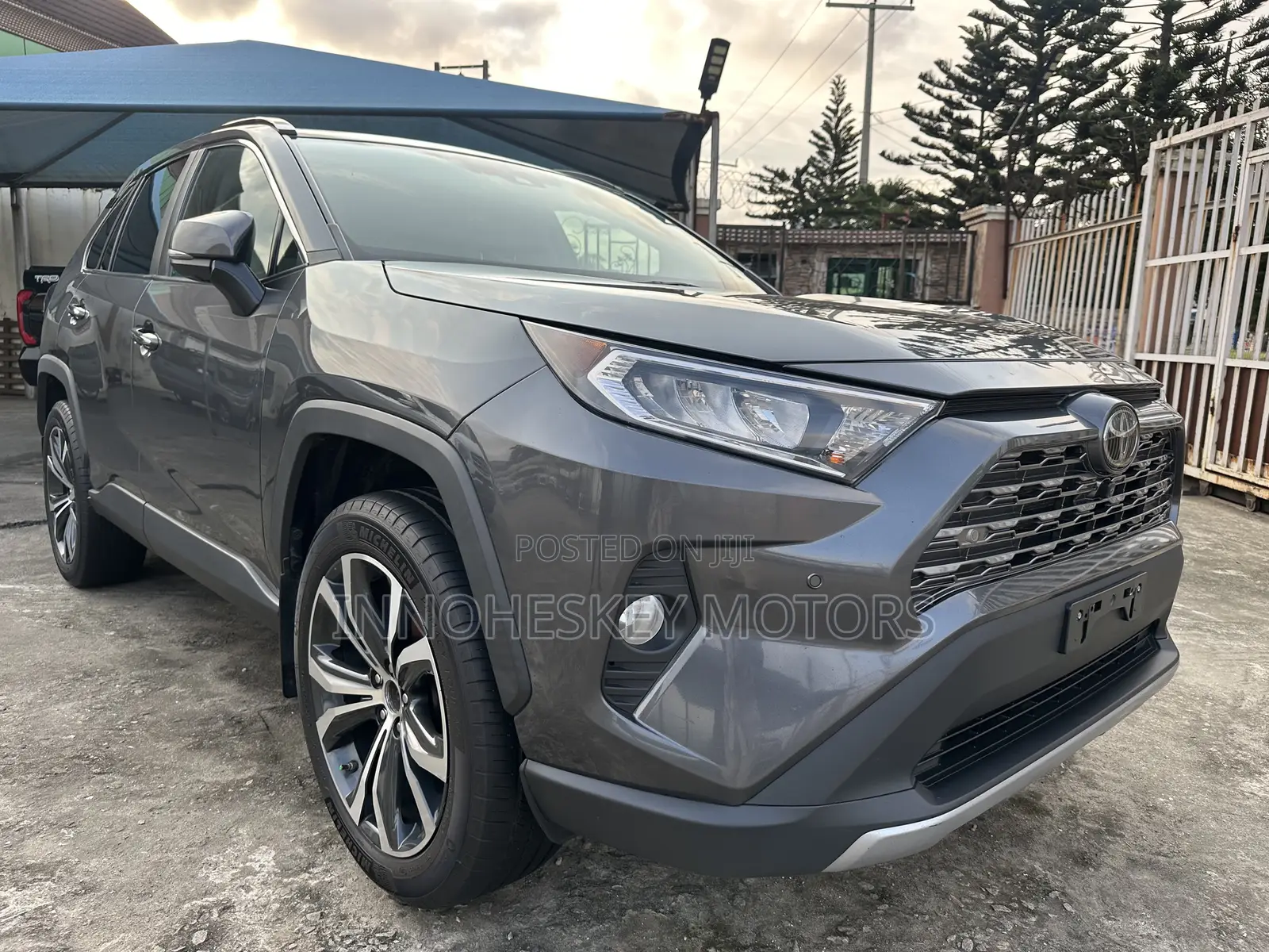 Toyota RAV4 Limited AWD 2019 Gray