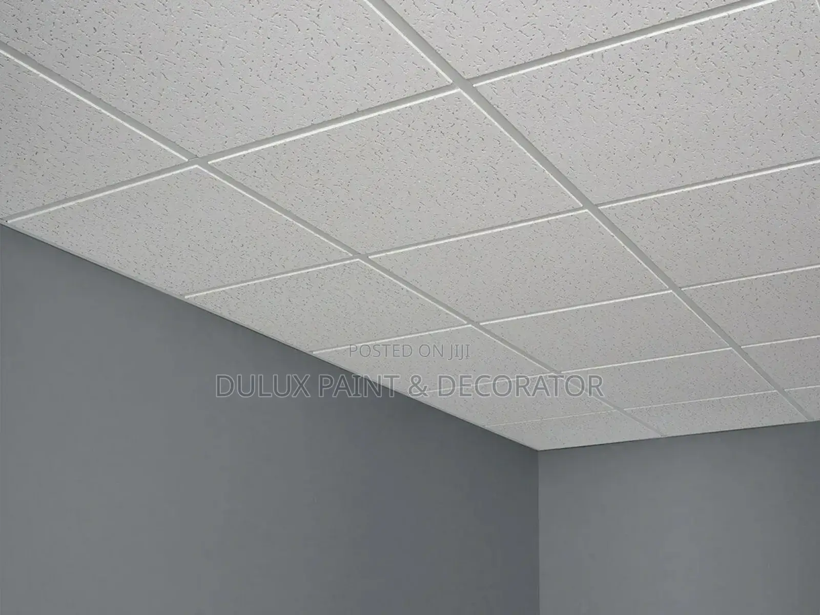 Acoustic/Suspended Ceiling Tiles