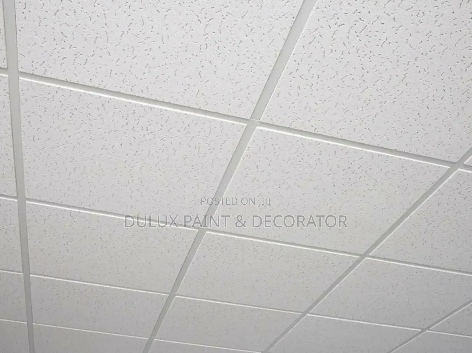 Acoustic/Suspended Ceiling Tiles