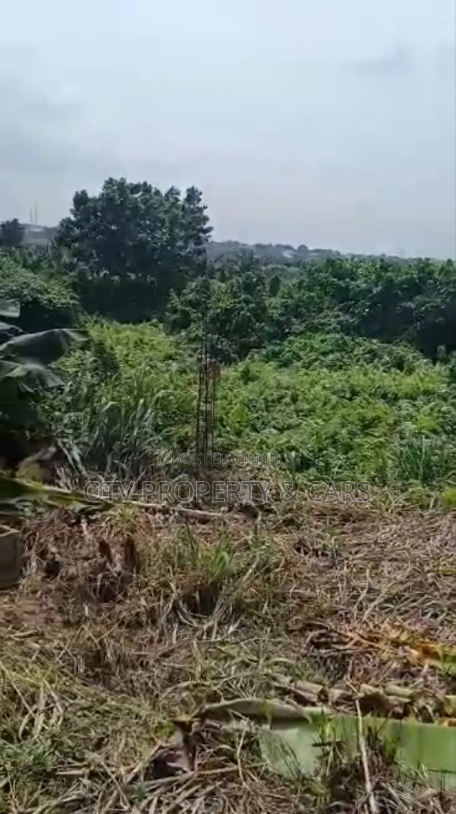 1054 Square Meters of Empty Land for Sale at Ikeja