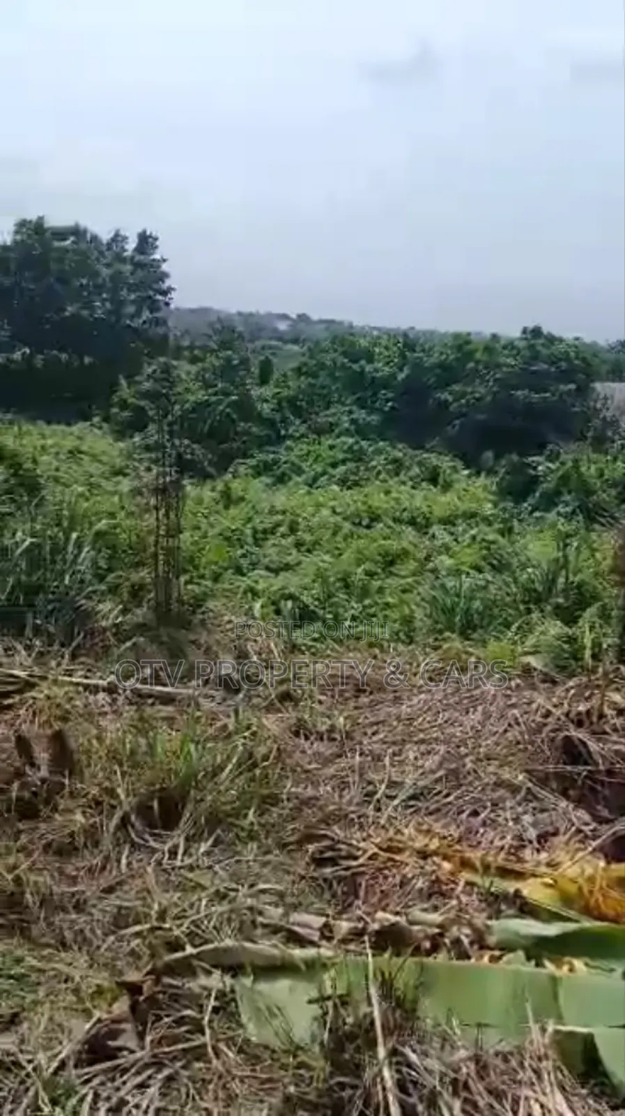1054 Square Meters of Empty Land for Sale at Ikeja
