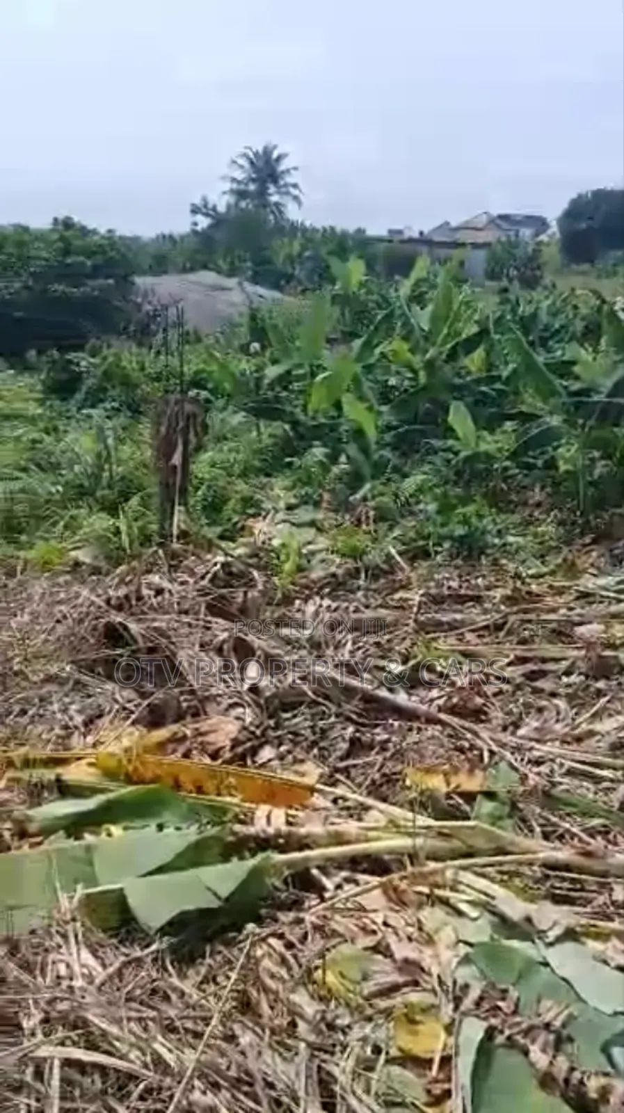 1054 Square Meters of Empty Land for Sale at Ikeja