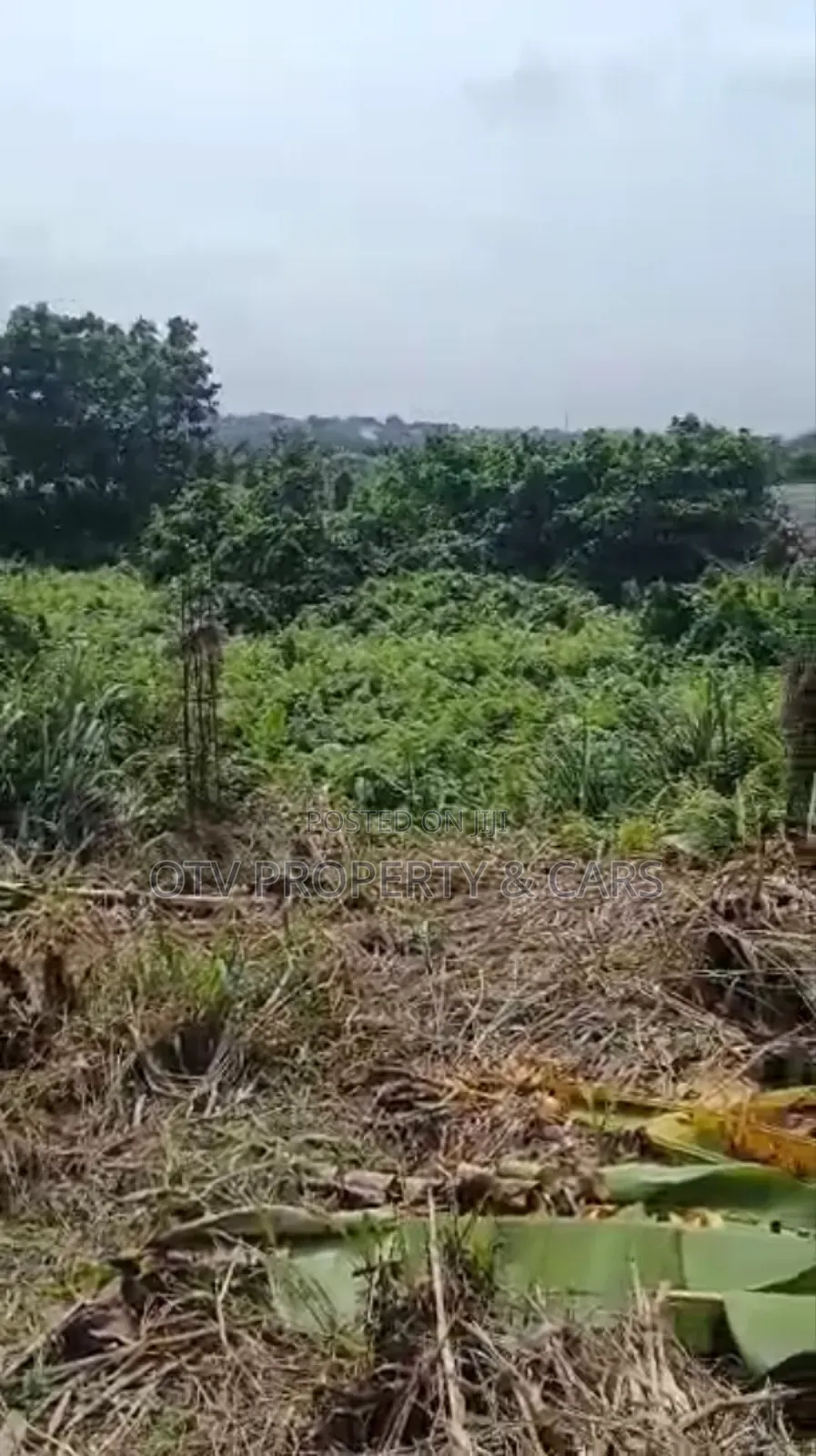 1054 Square Meters of Empty Land for Sale at Ikeja