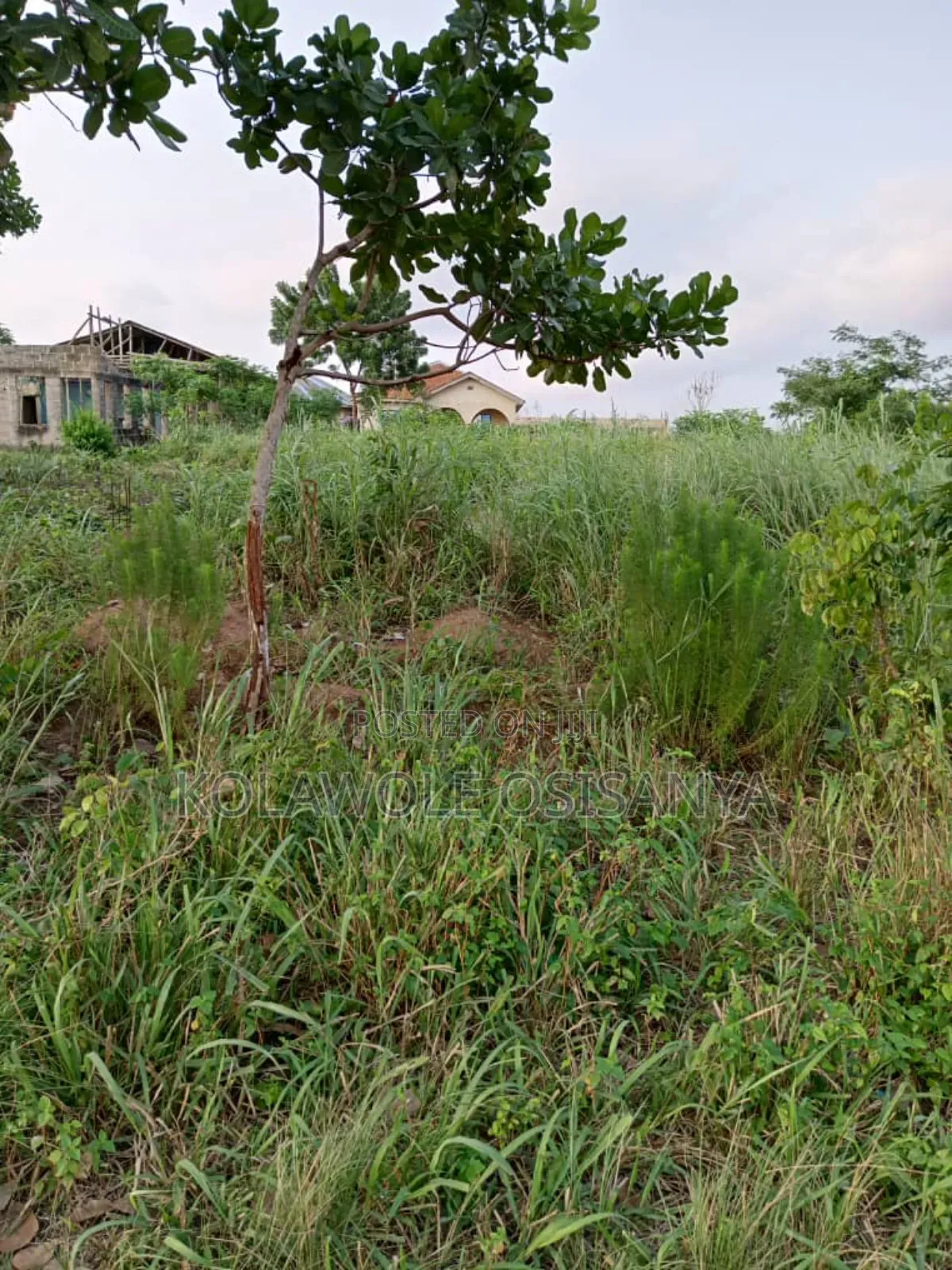 3plots Together With a Bungalow