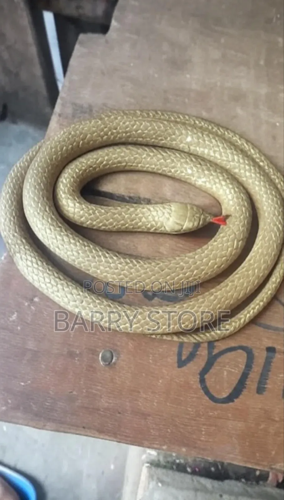 Snake Props 1