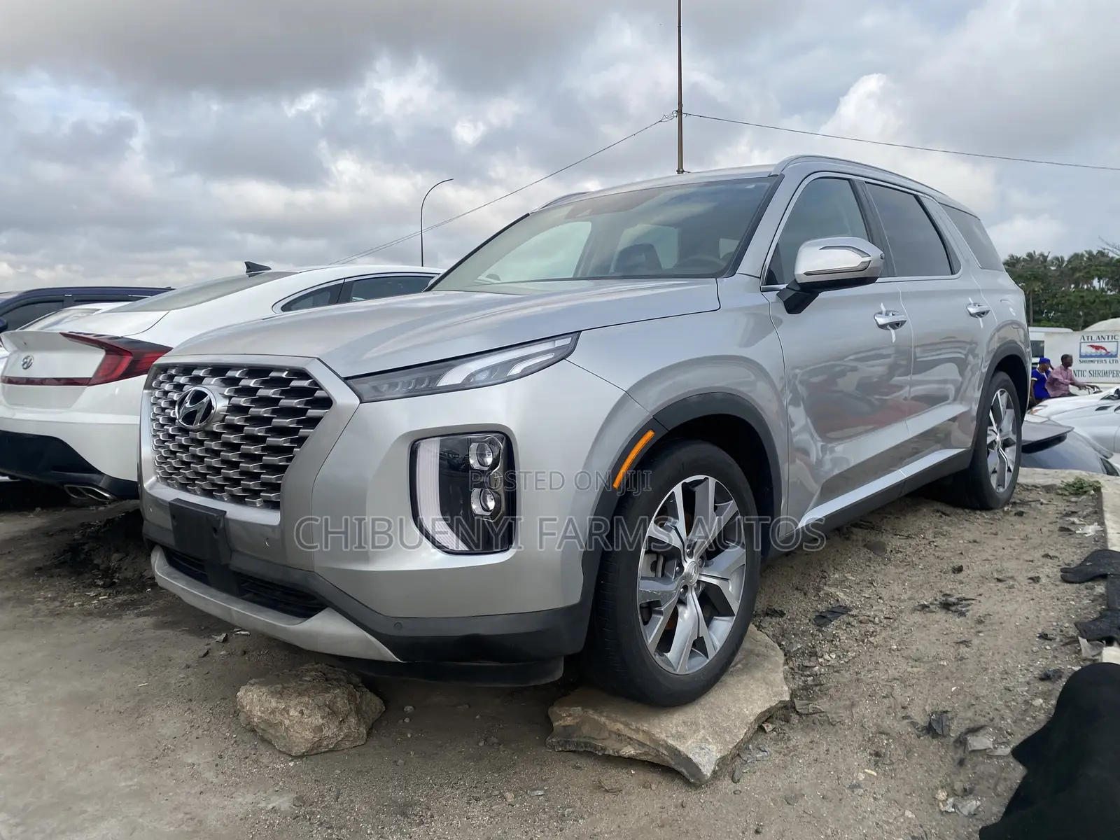 Hyundai Palisade 2021 Gray