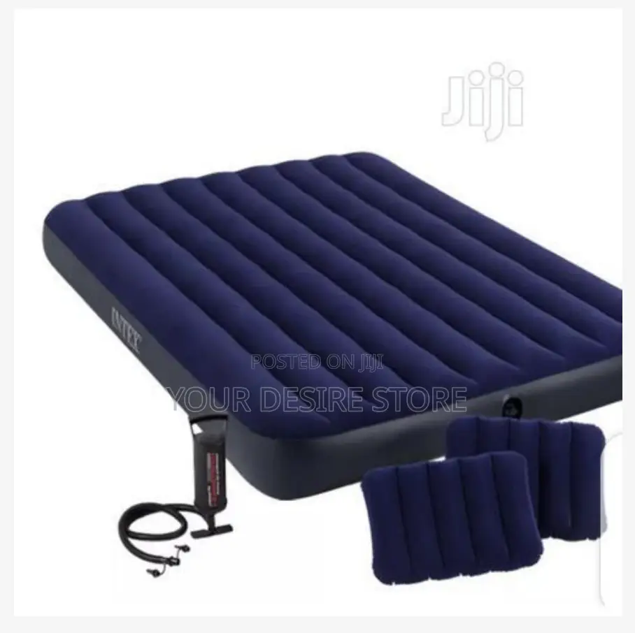 Intex Inflatable 2-3 Person Classic Downy Airbed With Pump+Two Pillows