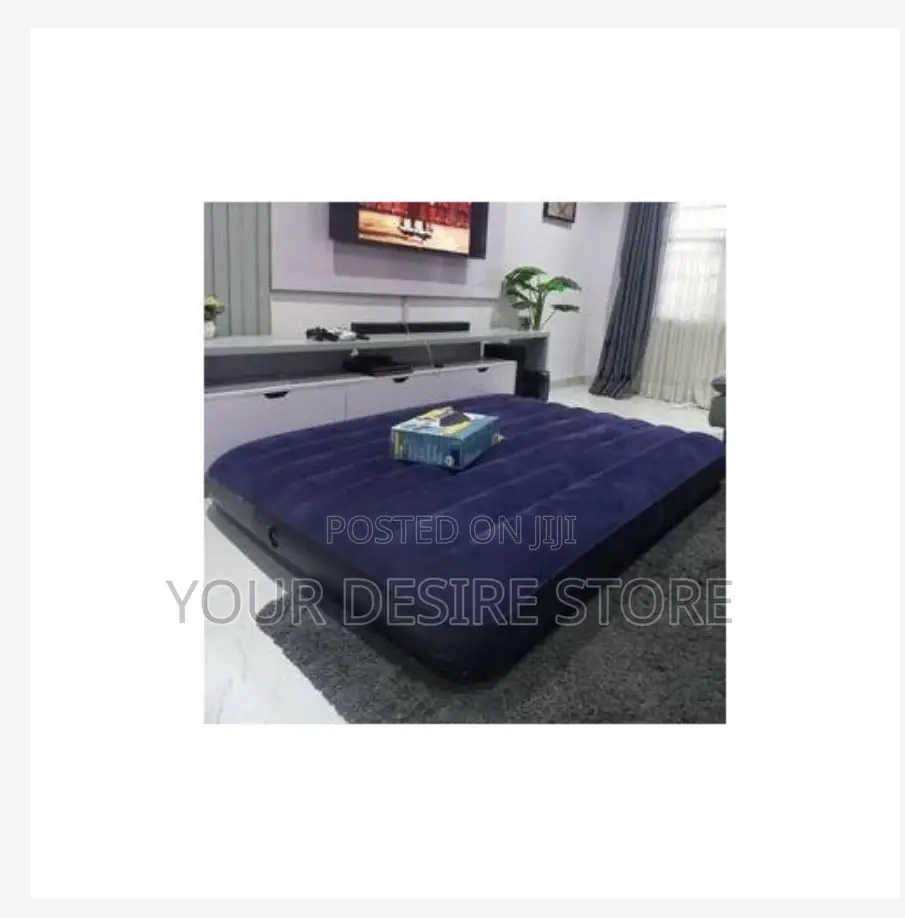 Intex Inflatable Air Mattress for 2 People 4 by 6 Blue
