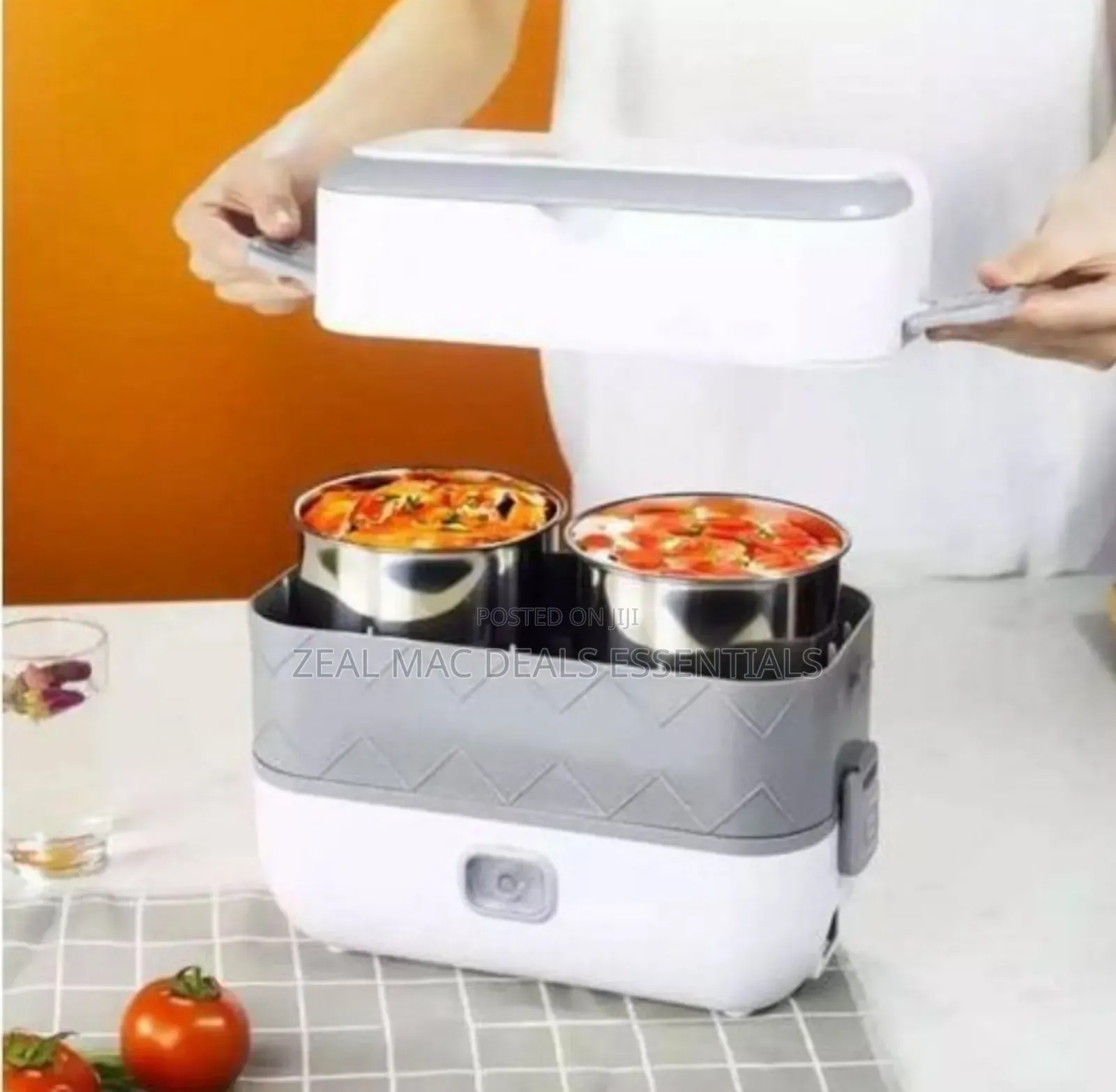 Electric Lunch Box/Food Warmer