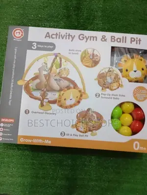 Activity Gym Ball Pit