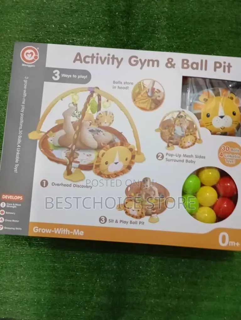 Activity Gym Ball Pit