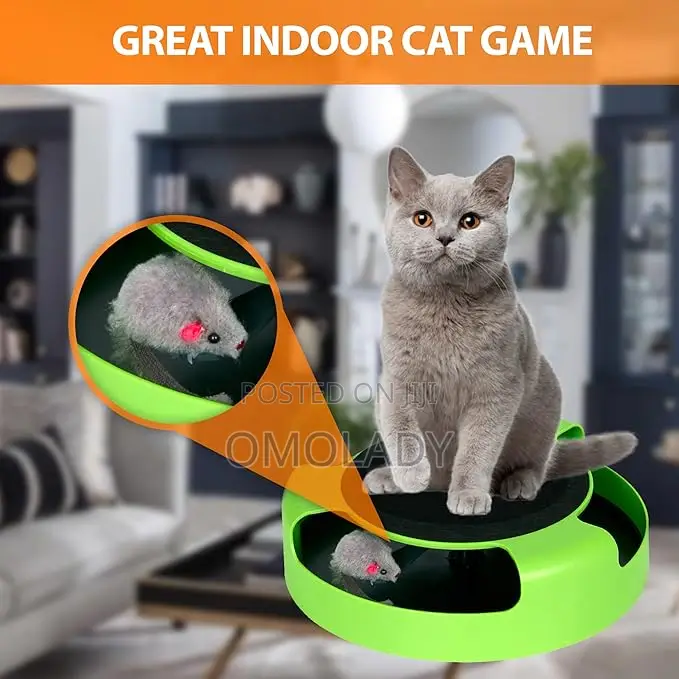 Catch the Mouse Cat Toy Cat Scratcher