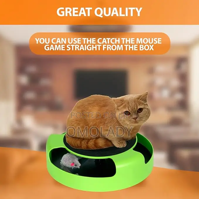 Catch the Mouse Cat Toy Cat Scratcher